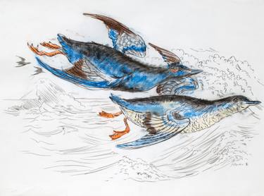 Print of Animal Drawings by Kathleen Benton