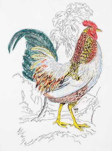 Original Animal Drawings by Kathleen Benton