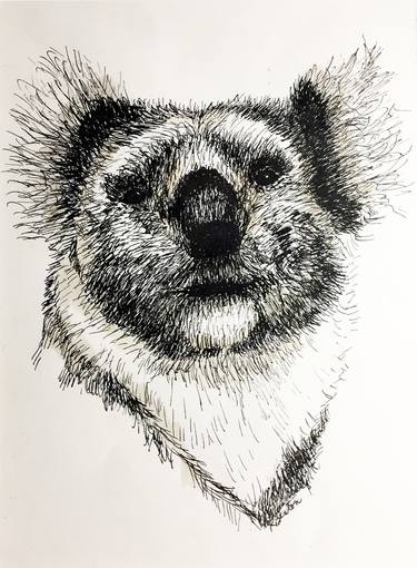 Print of Animal Drawings by Kathleen Benton