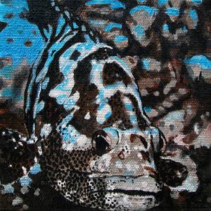 Collection Camouflage Fish