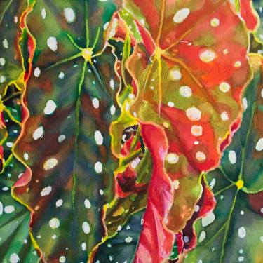 Original Fine Art Floral Paintings by Kathleen Benton