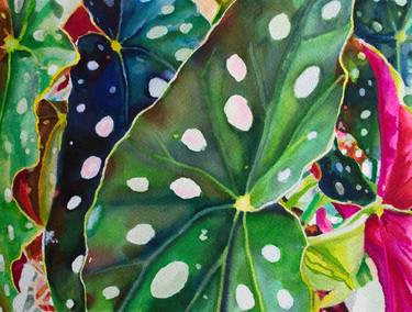 Saatchi Art Artist Kathleen Benton; Paintings, “Begonia 7” #art