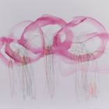 Cherryblossom by Almuth Tebbenhoff