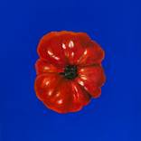 Heirloom Tomato by Iva Mara