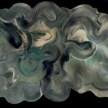 Oysters by Zaire Sheppard