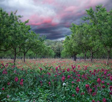 Original Fine Art Landscape Photography by Natasha Lebedeva