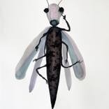 female insect by marjan jaspers