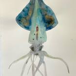 octopus-life by marjan jaspers