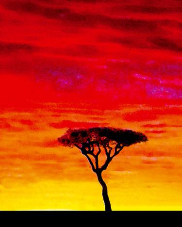 African Sunset 2  - Price £200 GBP + P&P To enquire about this picture please email Barry Moore at: viewartbyme@bazmoore.com thumb