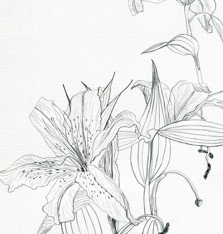 Original Illustration Floral Drawing by Elena Blanco