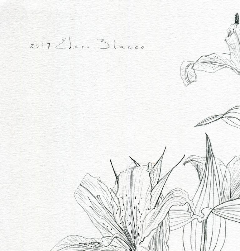 Original Illustration Floral Drawing by Elena Blanco