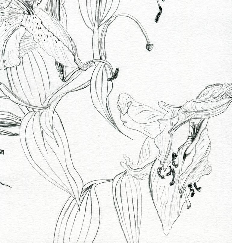 Original Illustration Floral Drawing by Elena Blanco