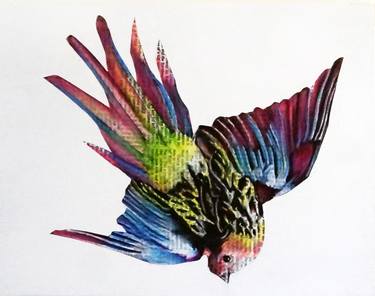 Print of Animal Drawings by Annie Terrazzo