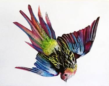 Print of Fine Art Animal Drawings by Annie Terrazzo