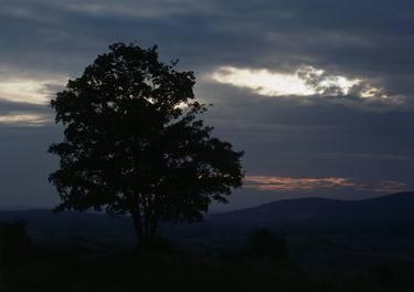 Original Nature Photography by František Synek