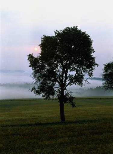 Print of Nature Photography by František Synek