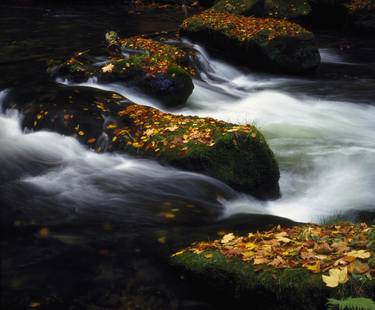 River in Autumn thumb