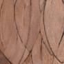 Close up of details