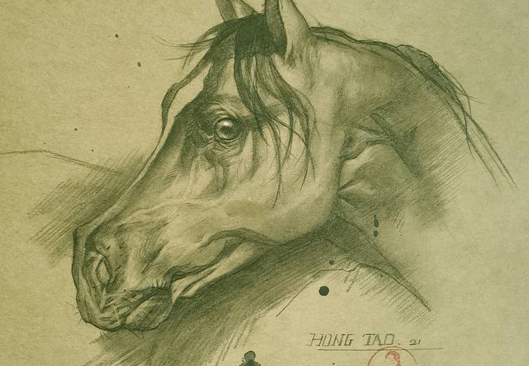 Original Fine Art Horse Drawing by Hongtao Huang