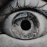 Collection Contemporary Surrealists 