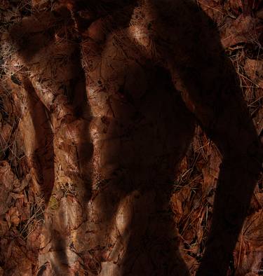 Original Abstract Erotic Photography by Bojan Jevtić