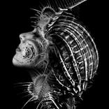 Collection Portraits for $2500 and Under