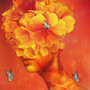 Fresh Perspectives: New Photography