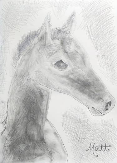 Saatchi Art Artist Matt The Unfathomable Artist; Drawings, “Young Pegasus [sketch #2]” #art