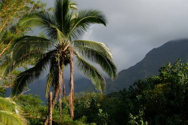 Kauai Morning N°P2019001 - Limited Edition of 10 thumb