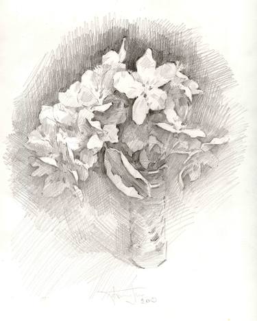 Print of Realism Floral Drawings by Vera Bondare