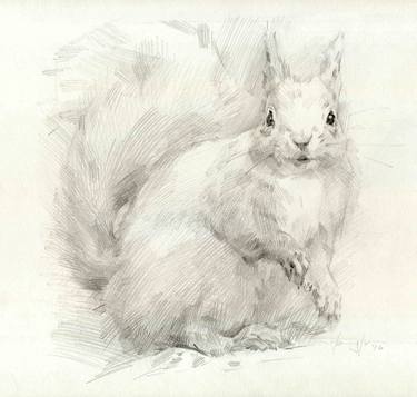 Original Realism Animal Drawings by Vera Bondare