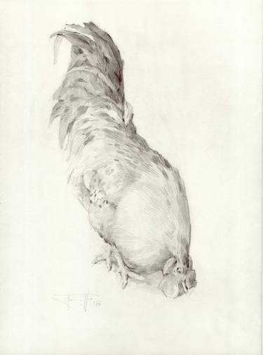 Original Animal Drawings by Vera Bondare