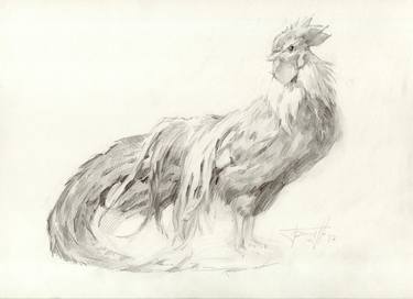 Original Illustration Animal Drawings by Vera Bondare