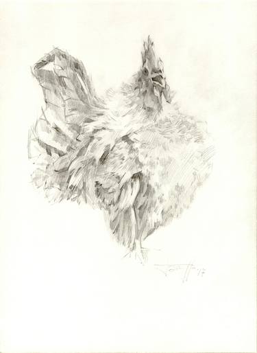 Original Realism Animal Drawings by Vera Bondare