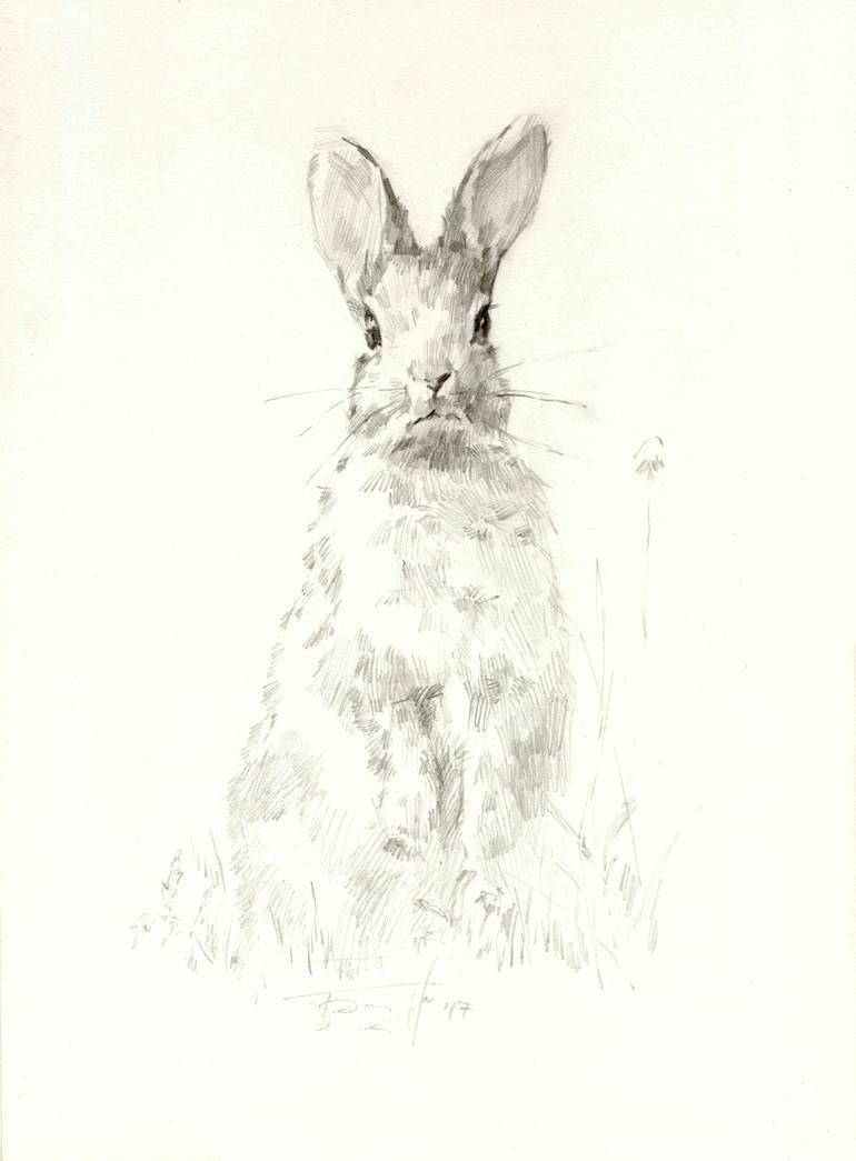 Rabbit Drawing by Vera Bondare | Saatchi Art