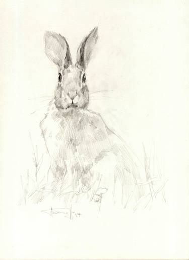 Original Animal Drawings by Vera Bondare