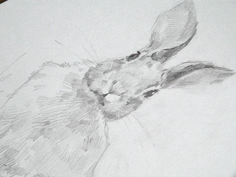Original Realism Animal Drawing by Vera Bondare