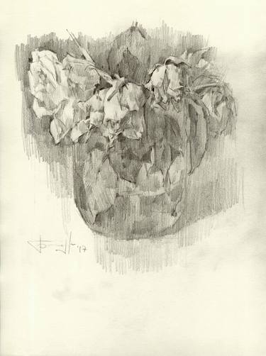 Original Realism Floral Drawings by Vera Bondare