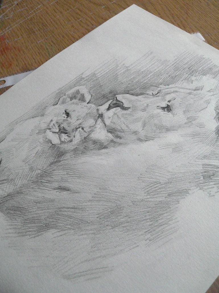 Original Realism Animal Drawing by Vera Bondare