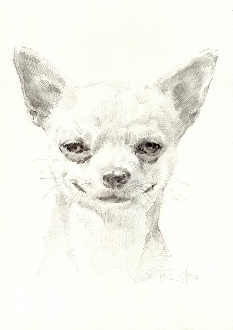 Chihuahua Drawing By Vera Bondare Saatchi Art