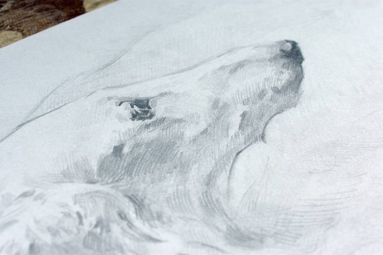 Original Realism Dogs Drawing by Vera Bondare