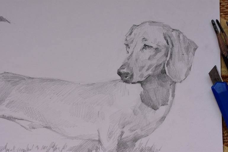 Original Realism Dogs Drawing by Vera Bondare