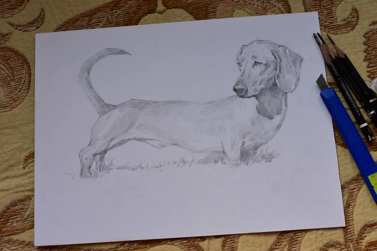 Original Realism Dogs Drawing by Vera Bondare