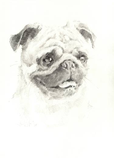 Original Realism Dogs Drawings by Vera Bondare