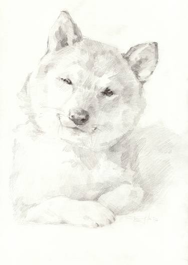 Original Dogs Drawings by Vera Bondare