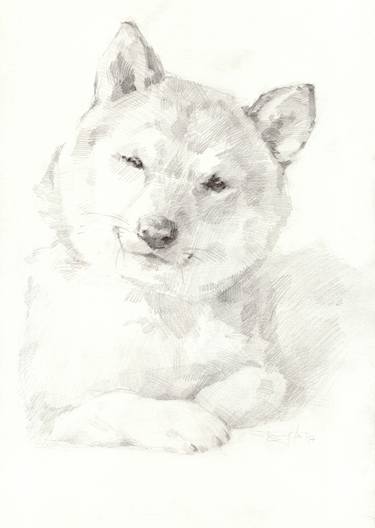 Print of Realism Dogs Drawings by Vera Bondare