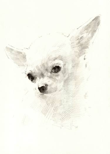 Original Realism Dogs Drawings by Vera Bondare