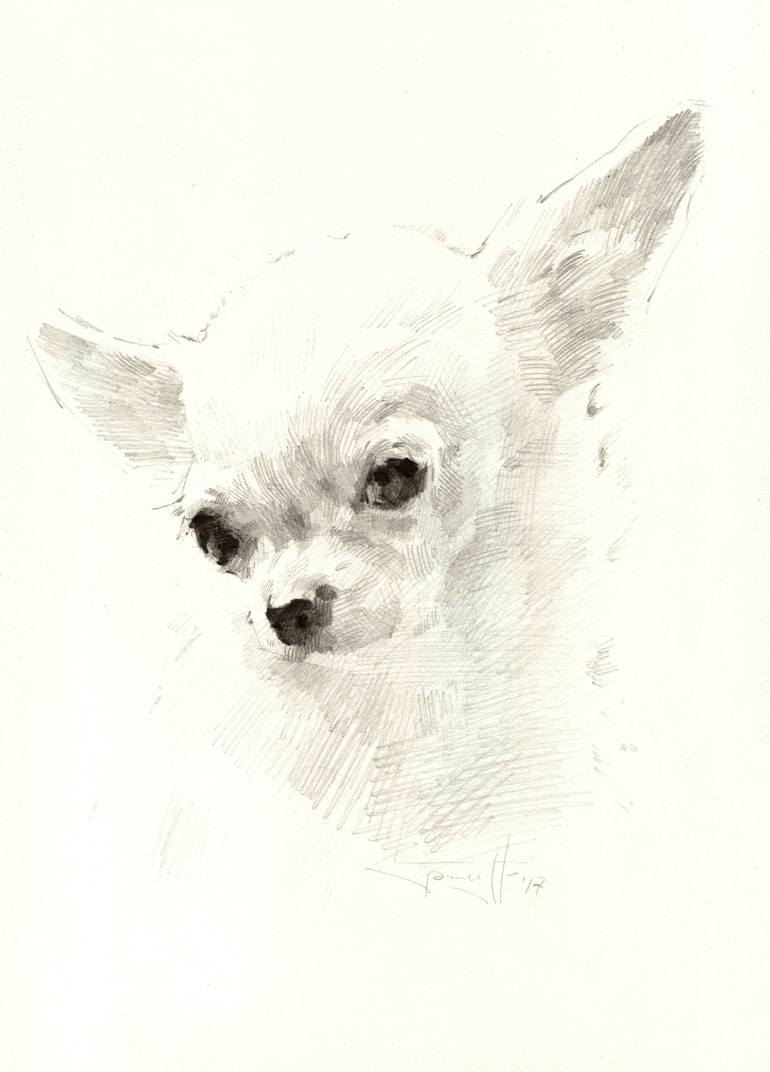 Chihuahua Drawing By Vera Bondare Saatchi Art