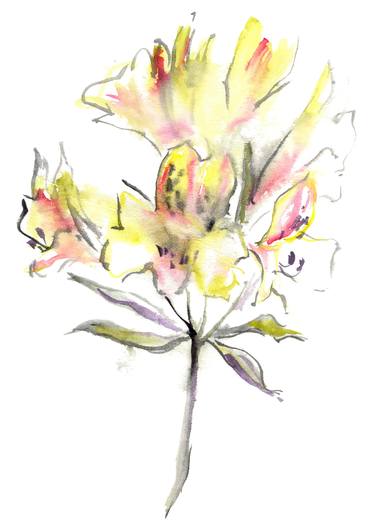 Watercolor drawing of yellow Alstroemeria thumb