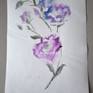 Watercolor drawing of blue Eustoma. Eustoma, commonly known as lisianthus or prairie gentian. Violet, rose, blue, green, purple, gray colors. The light, airy and expressive drawing. They are native to warm regions of the southern United States, Mexico, Caribbean and northern South America. Looks like a blue rose.

!!! Unfortunately, there is a trace on the paper, defective paper was used. It can be seen in the photo. But this trace is visible only at a certain angle.